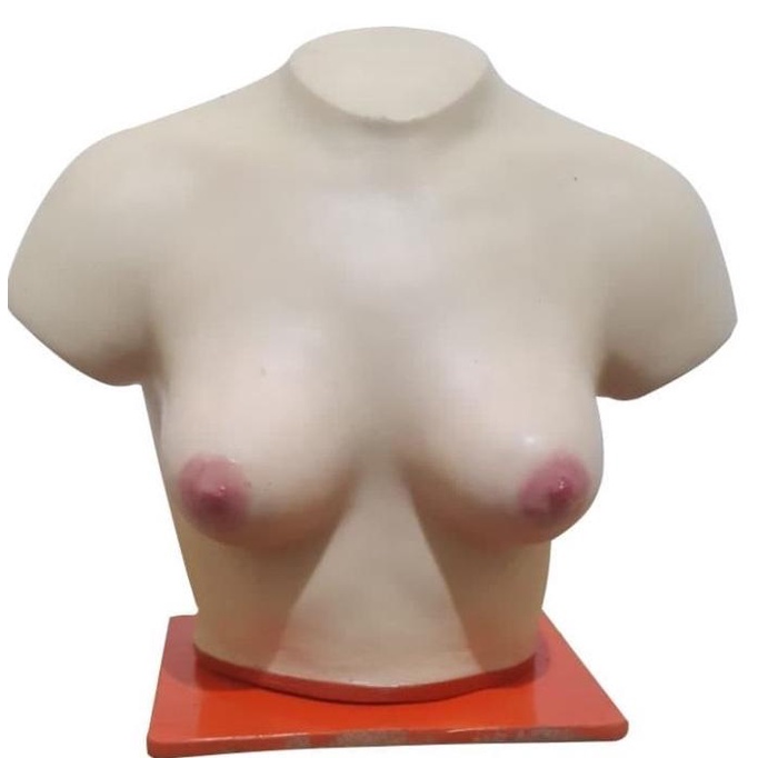 Phantom Manikin Payudara Kualitas Terbaik