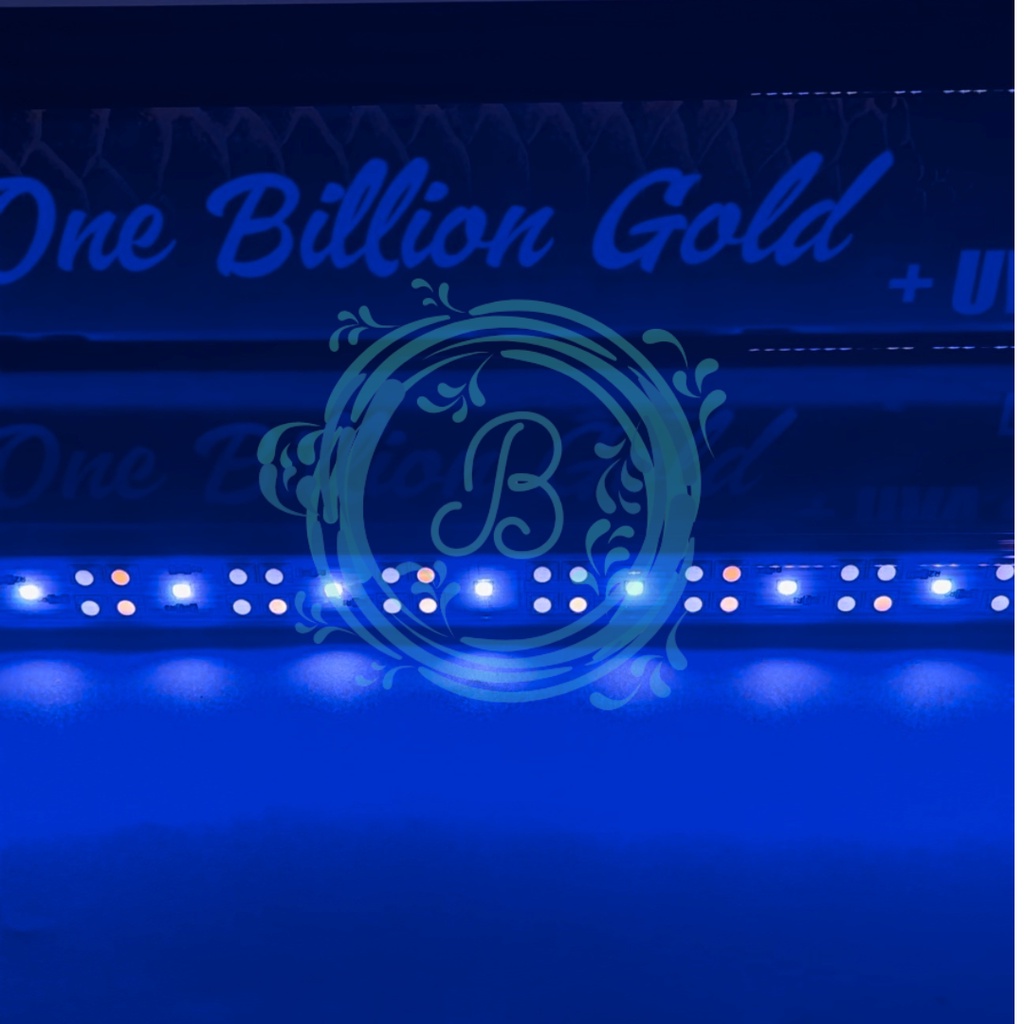 KANDILA PRO RED ONE BILLION GOLD 800 Lampu Tanning Ikan Arwana Arowana LED Taning Aquarium