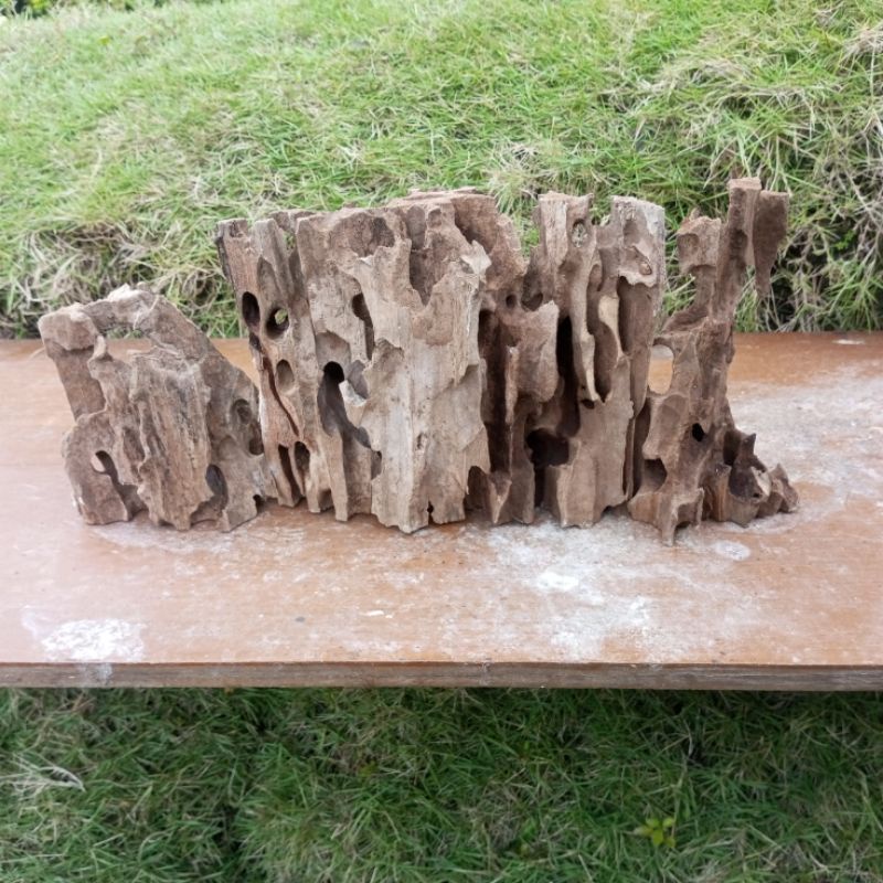 kayu rentek aquascape