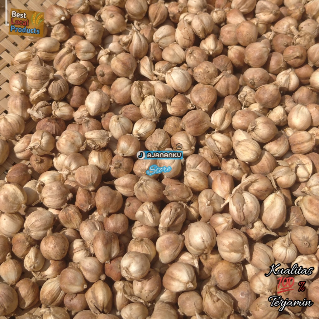 

Kapulaga Kering 1 kg Tanpa Pemutih Kapol Jawa Warna dan Ukuran Biji Campur