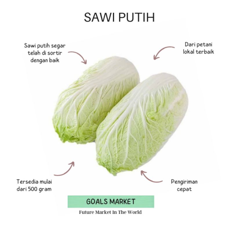 

Sayur Sawi Putih 500 gr - 1kg Sawi Putih Segar