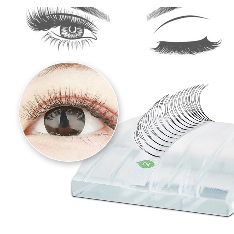 Yelix 5D PRE-MADE Russian Volume Fans Matte Natular Light Eyelash Extansion