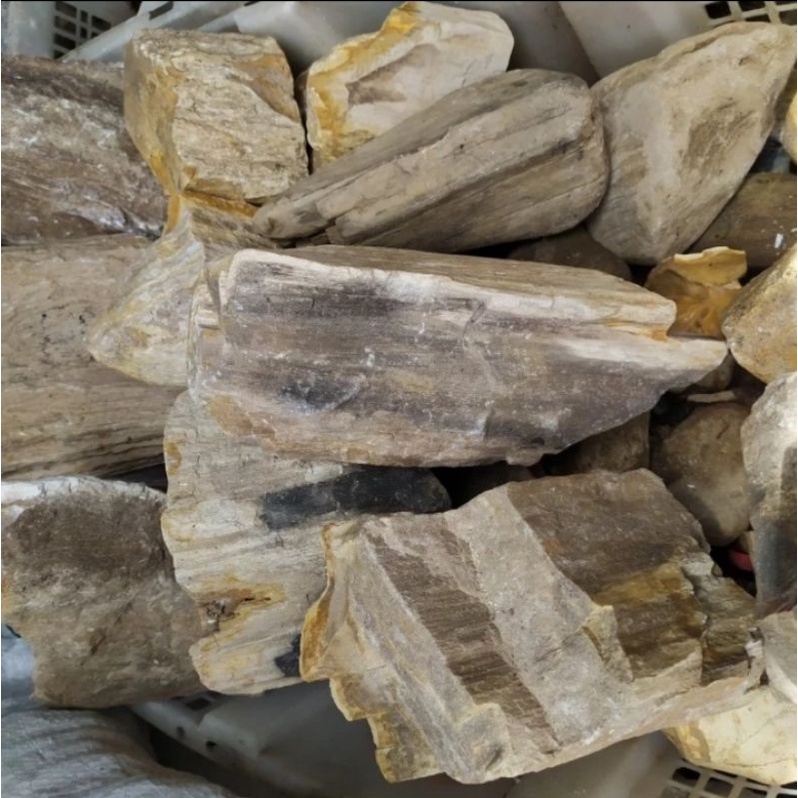 Batu fosil aquascape aquarium fossil stone batu fosil kayu 1kg