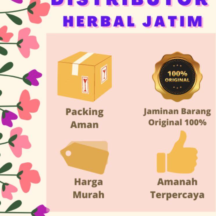 ✮ Jahe Merah AMH Original Per Renteng Minuman Jahe Instan Tinggal Seduh Jahe Saset Sachet Jahe Bubuk