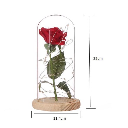 Lampu LED Dekorasi Rumah Kamar Beauty and The Beast
