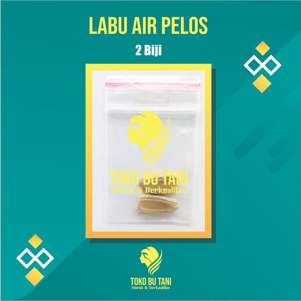 Benih Buah Labu Air Peloz  Bibit Buah Labu Air Peloz Benih Buah-buahan Berkualitas