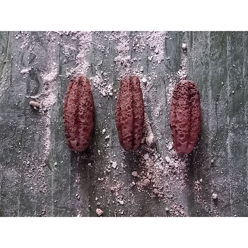 3 Manik- Manik kuno temuan