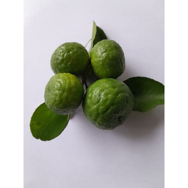 

jeruk limau, jeruk sambel