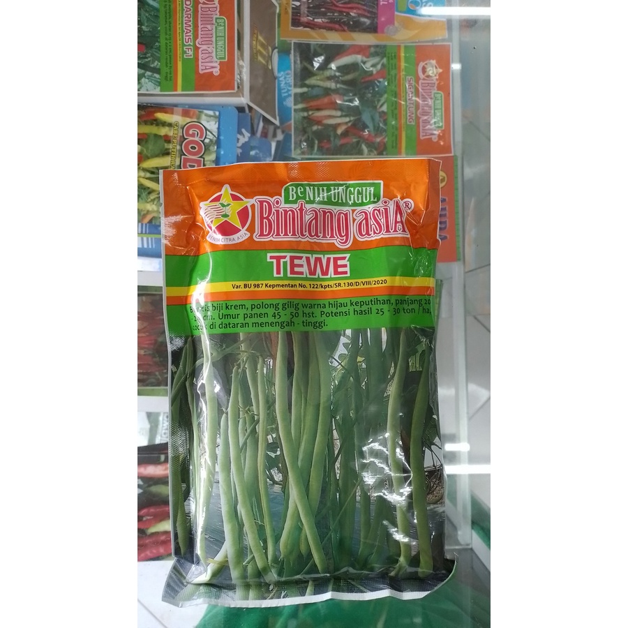 BENIH BUNCIS - TEWE – BINTANG ASIA – 500 GRAM