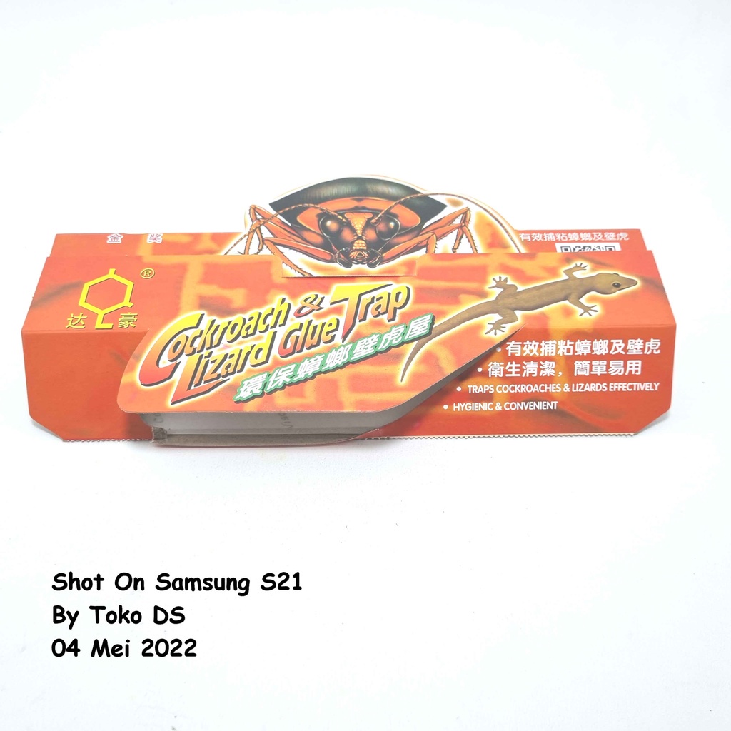 Lem Cicak Kecoa - Lem Kecoa Perangkap Cicak Perangkap Kecoa Jebakan Kecoak