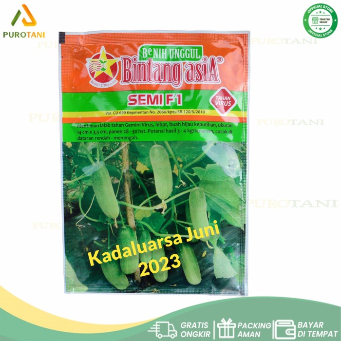 Bibit Mentimun F 1 Benih Timun Semi F1 Bintang Asia 900 Butir 20gr