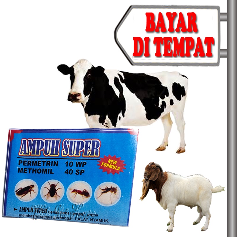 Obat Anti Kutu Sapi Kerbau Kambing Domba Sebuk Ampuh Super