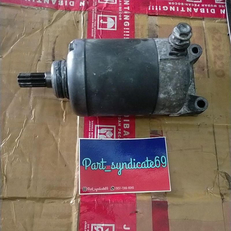 Dinamo stater tiger stater tiger