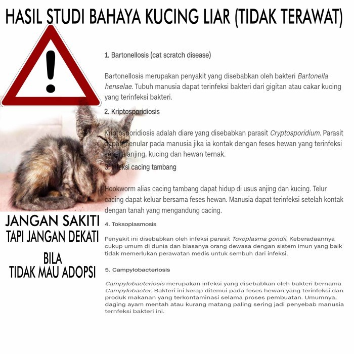 Cairan pengusir kucing tanpa menyakiti kucing tanpa pestisida suplayer OPI