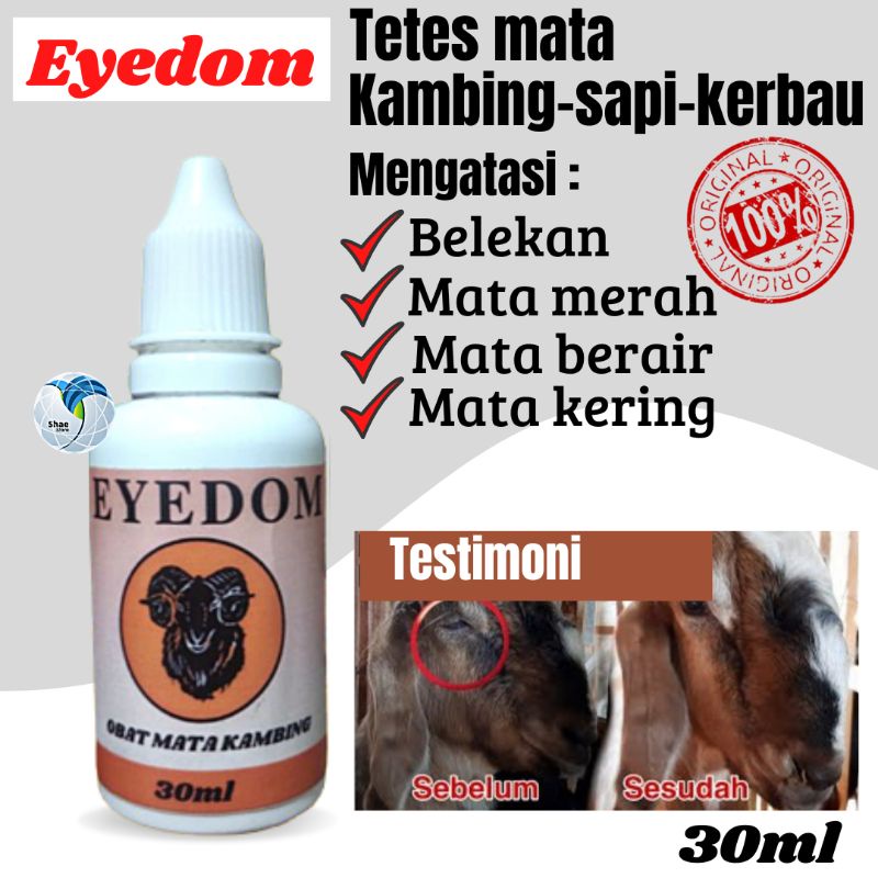 Obat Tetes Mata Kambing Sapi Kerbau Obat Sakit Mata Hewan Eyedom Shaestore15