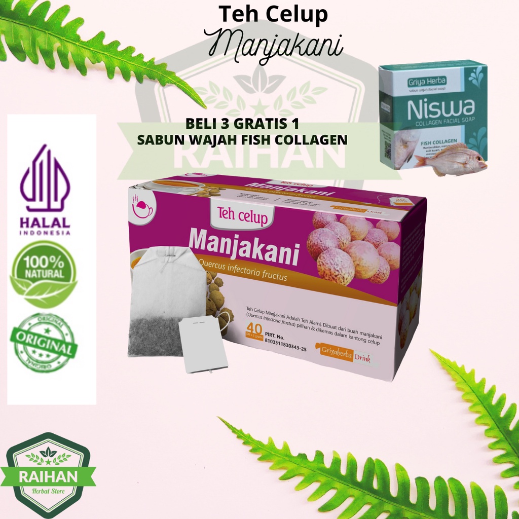 Jual Teh Manjakani Herbal Obat Keputihan Dan Minuman Untuk Wanita Teh