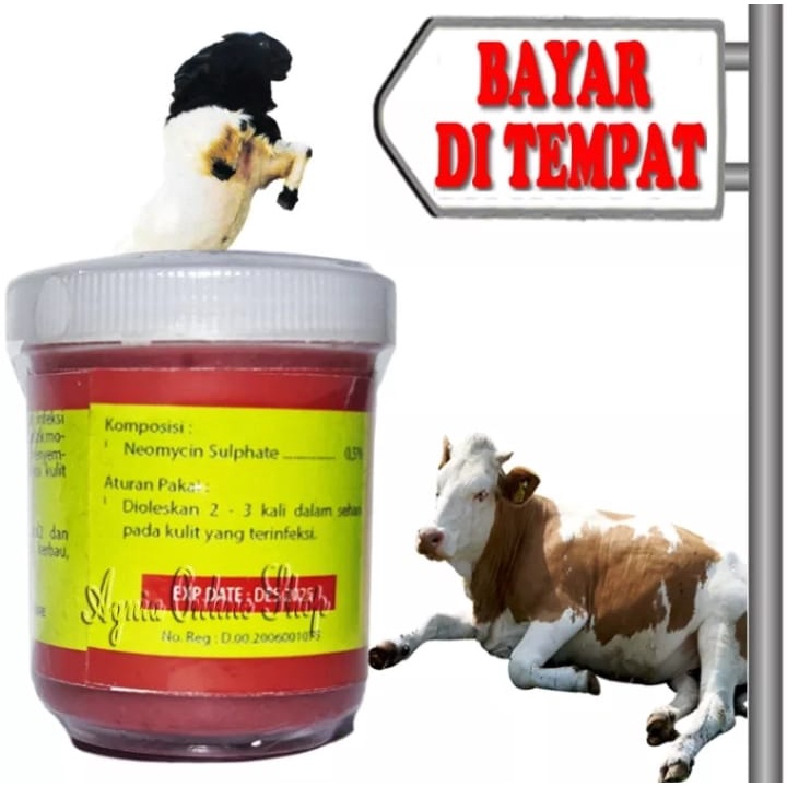 OBAT BOROK KORENG SAPI KAMBING KERBAU ANTI INFEKSI KULIT SALEP EXEEM CREAM AMPUH