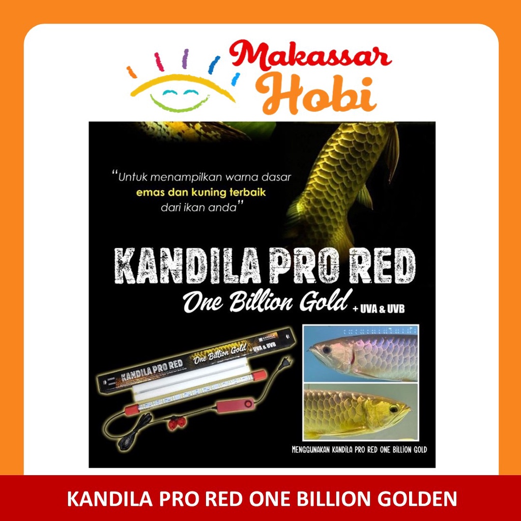 Kandila Pro Red One Billion Gold Lamp Lampu Mayin Golden LED Aquarium