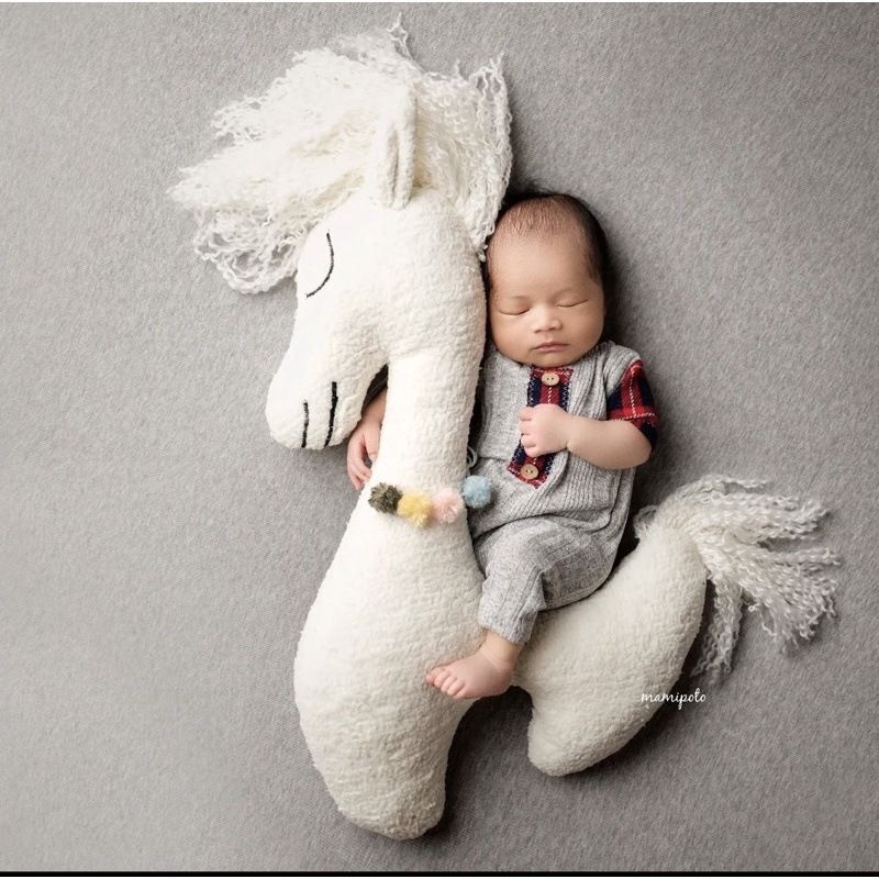 Posing Pillow Properti Photoshoot Bayi Newborn Boneka Hewan Newborn