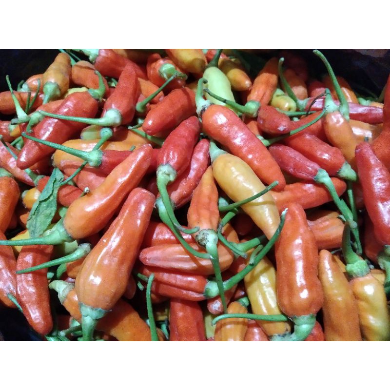 

cabai rawit super grade A 1/2 kg