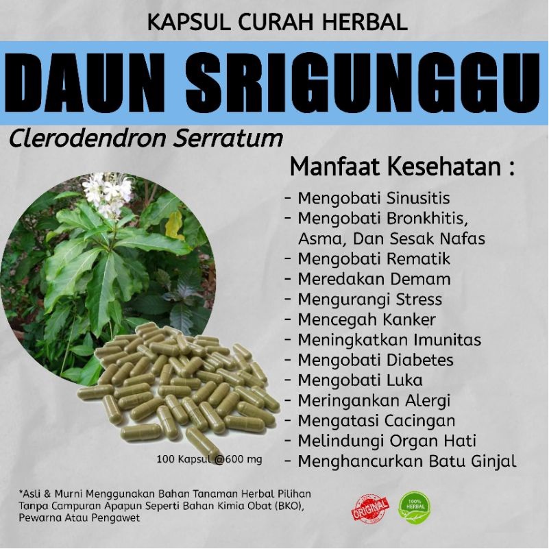 

Kapsul DAUN SRIGUNGGU 100 Kapsul Herbal Curah | Herbal Gurah, Sinusitis, Bronkhitis, Asma Dan Sesak Nafas