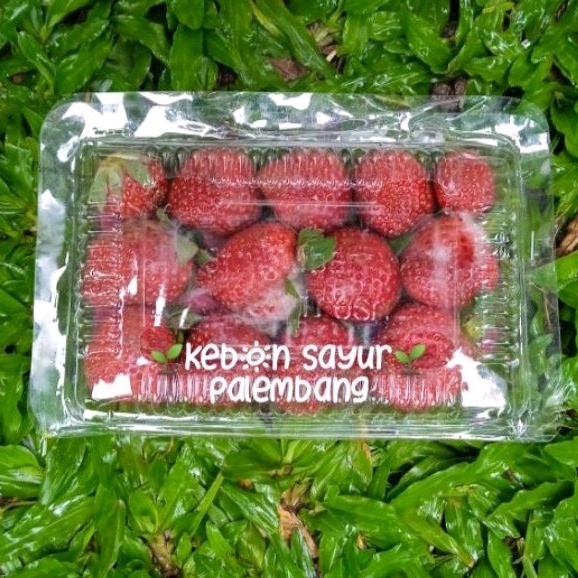 

Strawberry Buah Stroberi 1 pack