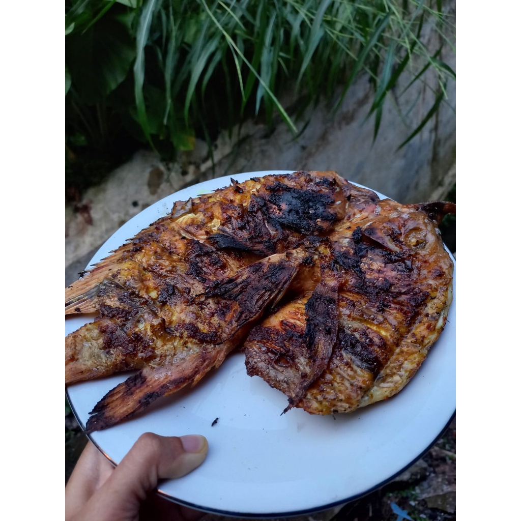

NILA HITAM BUMBU PADANG