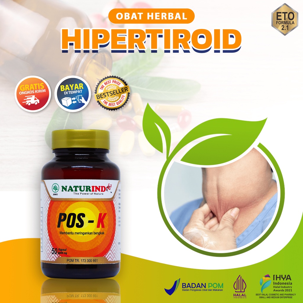 obat hipertiroid pembengkakan kelenjar tiroid gondok amandel herbal