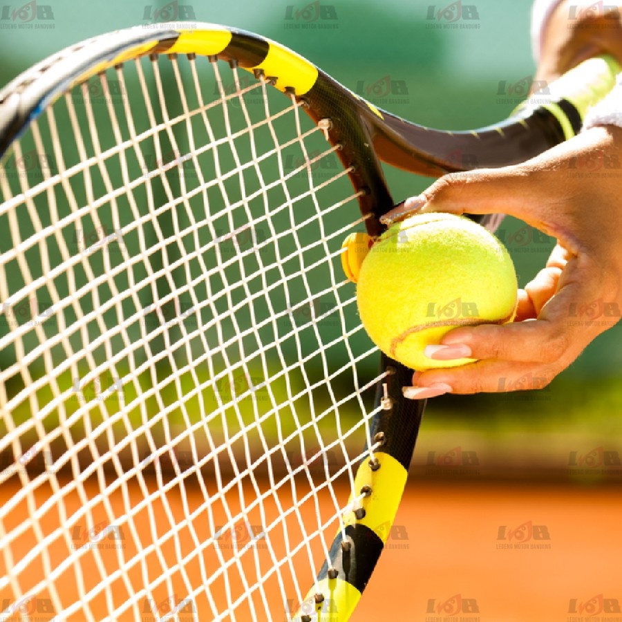 Pacific Senar Raket Tenis Hybrid Poly Power Strings Racket Bola Tennis