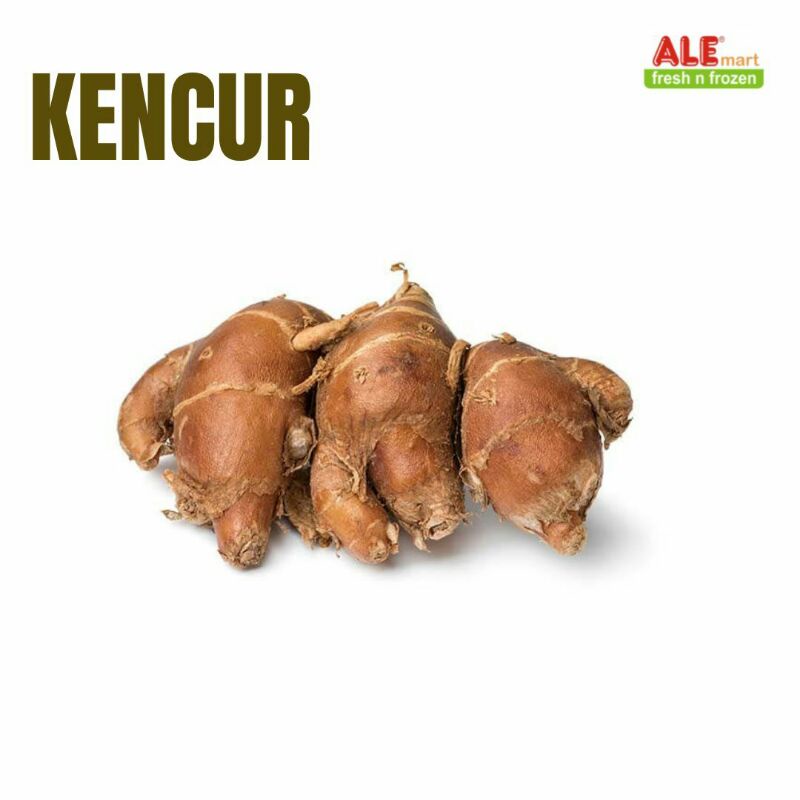 Kencur 500gr, kencur fresh, kencur, kencur segar