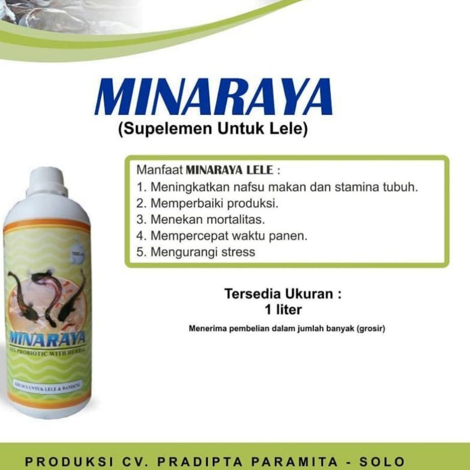 

(P-9.3✓) MINARAYA LELE 1liter super keren