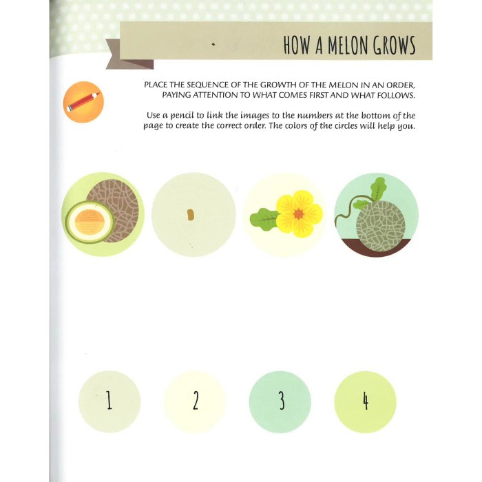THE MONTESSORI METHOD : SEASONS (BOOK)