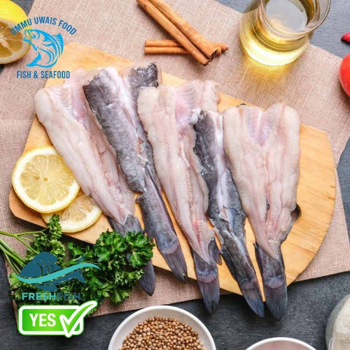 

Lele Hidup Fillet Dadakan Segar - 400 ~ 500 Gram