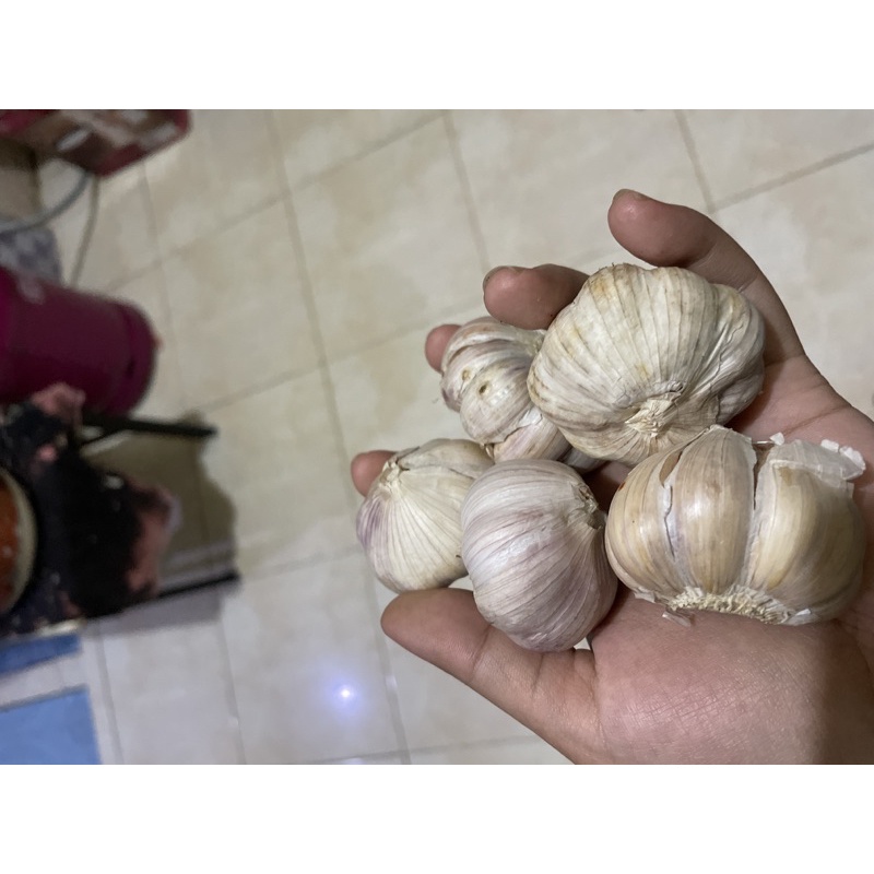 

BAWANG PUTIH