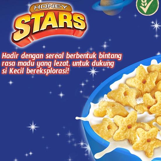 

TERLARIS HONEY STARS Cereal Box 300g - 2 pcs ☃ 882