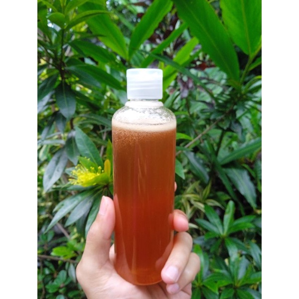 

Madu Klanceng | Madu Propolis Trigona | Madu Kelulut