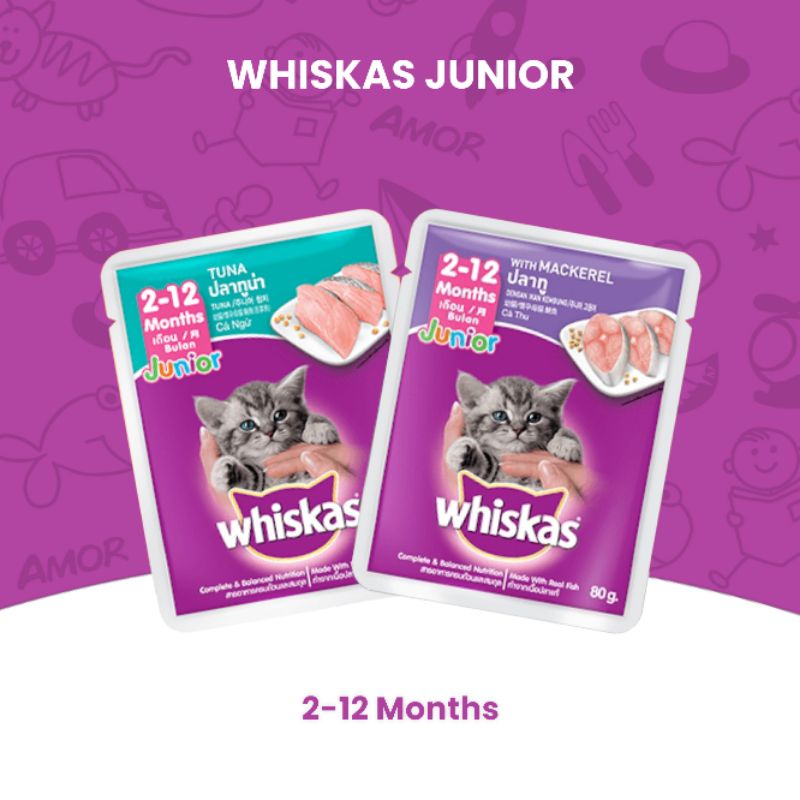 WHISKAS MAKANAN KUCING BASAH JUNIOR KITTEN