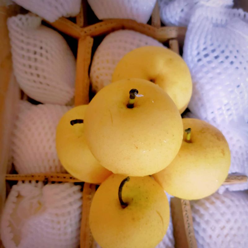 

Pear Century