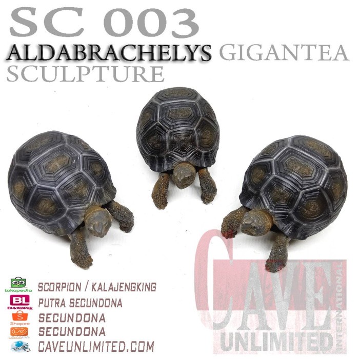 Replika patung tortoise aldabra aldabrachelys gigantea kura kura darat