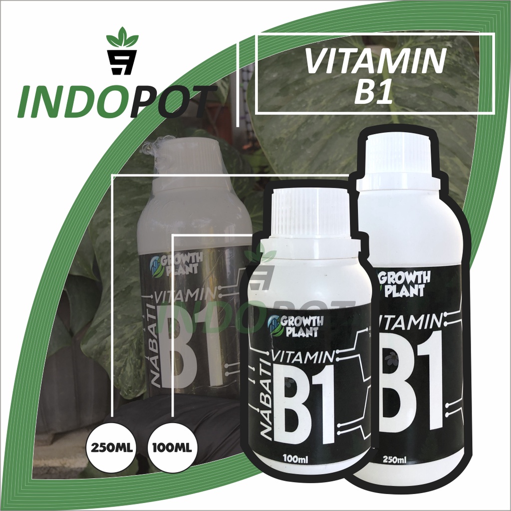 Vitamin B1 Nabati Kualitas Import Pupuk Tanaman Anti Strees B1 - Pupuk Cair