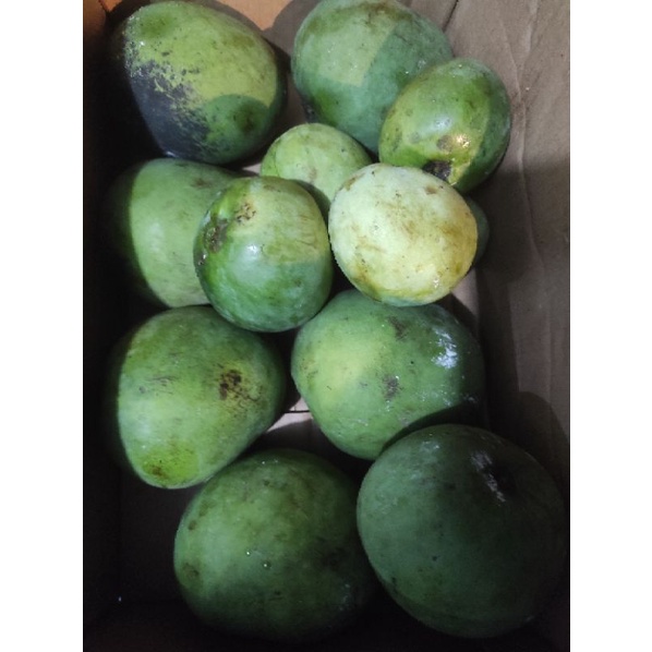 

mangga kelapa