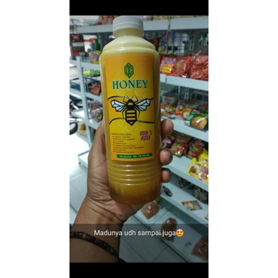

MADU GONG,madu lebah apis DORSATA ,lebah hutan