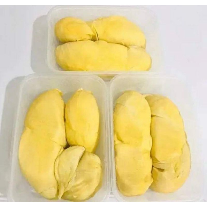 

Duren Montong Palu