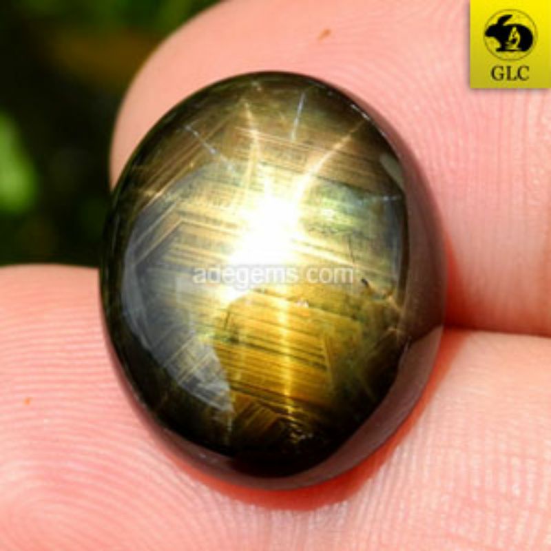 SS-251 Batu Permata Golden Black Star Sapphire 12 Rays Safir Hitam Emas Bintang 12 Sinar Thailand Na