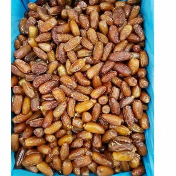 

Garansi Termurah..!!! Kurma Madu Kurma Tunisia Madu Kemasan 500gr 500 gr Tuneese Palmfrutt Barari Ecer ⇪