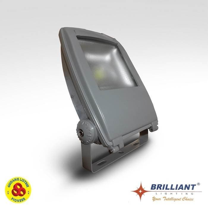 Brilliant Spot Led 30W Putih Outdoor Led Sorot 30 Watt Cool Daylight