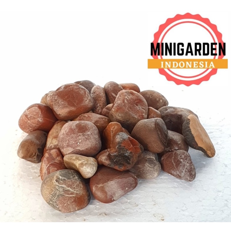 BATU KORAL MERAH HATI batu taman aquascape merah sakit red pebbles batu hias aquarium ecer 500gram