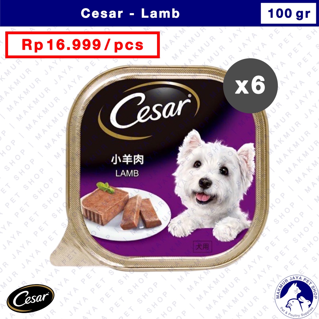 Cesar 100gr Lamb / Wet Dog Food / Makanan Anjing Basah - isi 6