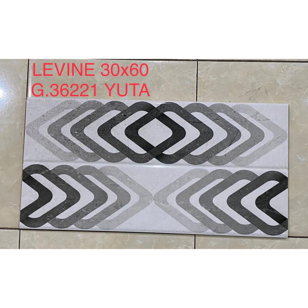 Granit Levine 30x60 36221 i Yuta