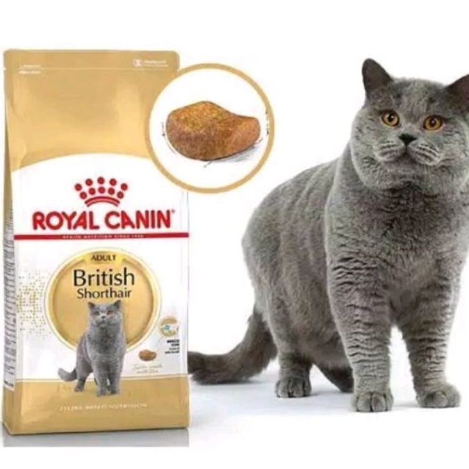 RC BRITISH SHORTHAIR 2 KG / royal canin / cat food / dry / makanan kucing / british short hair / murah